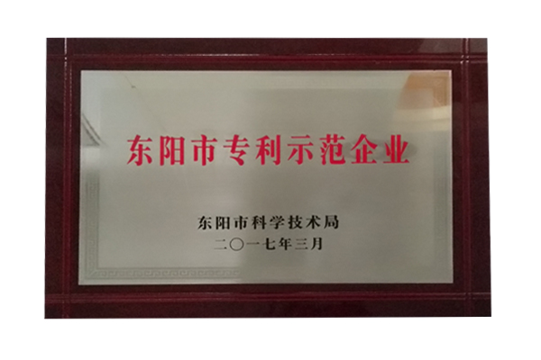 东阳市专利示范企业
